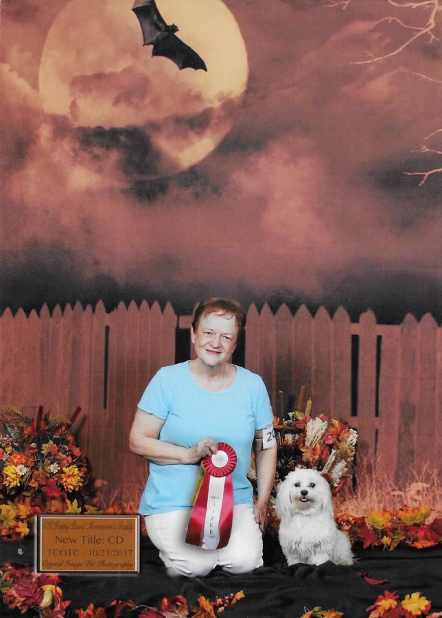 Happy Paws Havanese Buddy earning his Companion Dog title with his owner, Diana St. Denis