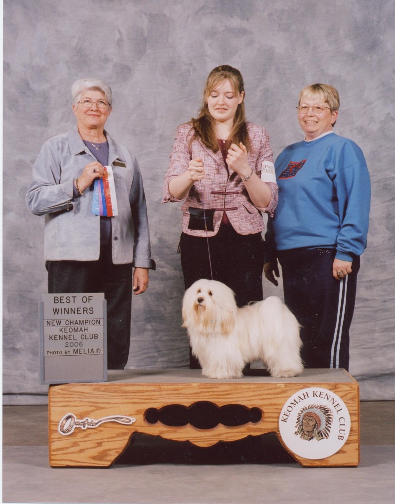 Happy Paws Havanese Puppies Minnesota MN Bailey's Champion photo with myself and Bailey's co-owner