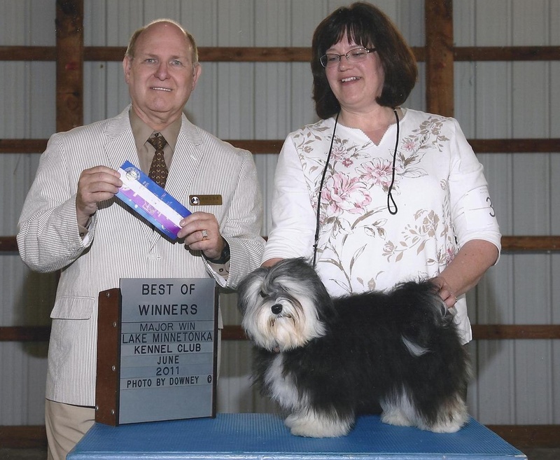 Happy Paws Havanese Puppies Minnesota MN Bay