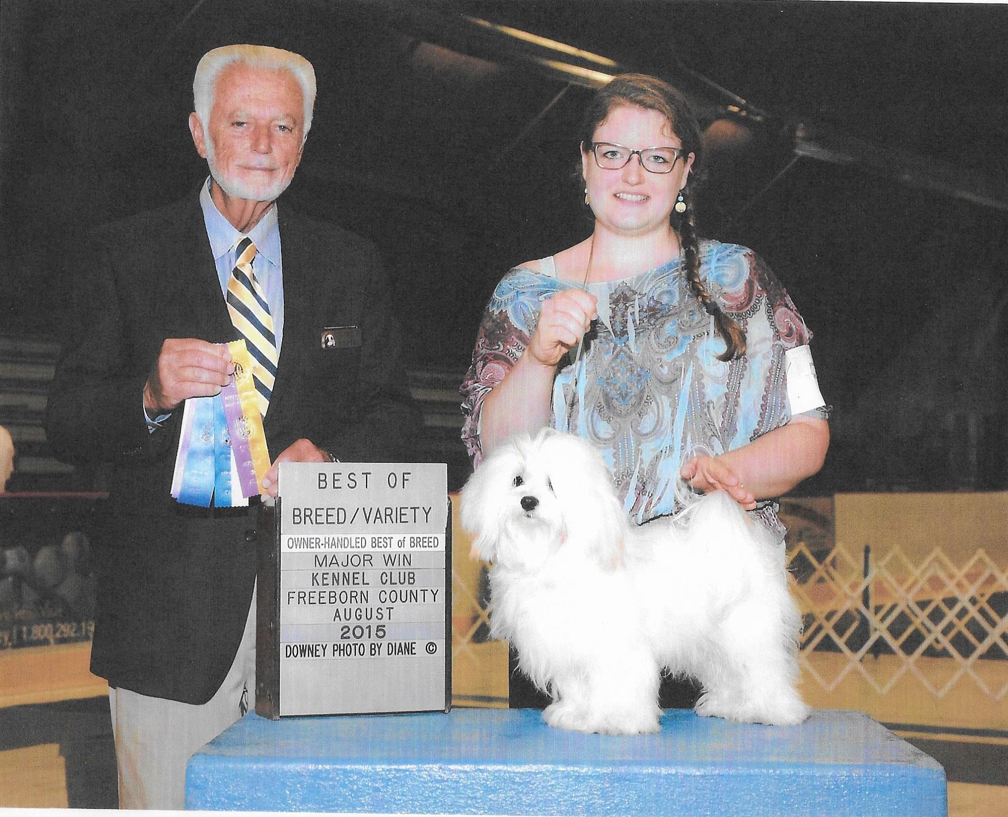 Happy Paws Havanese Puppies Minnesota MN Buddy Happy Paws Havanese Puppies Minnesota MN Buddy