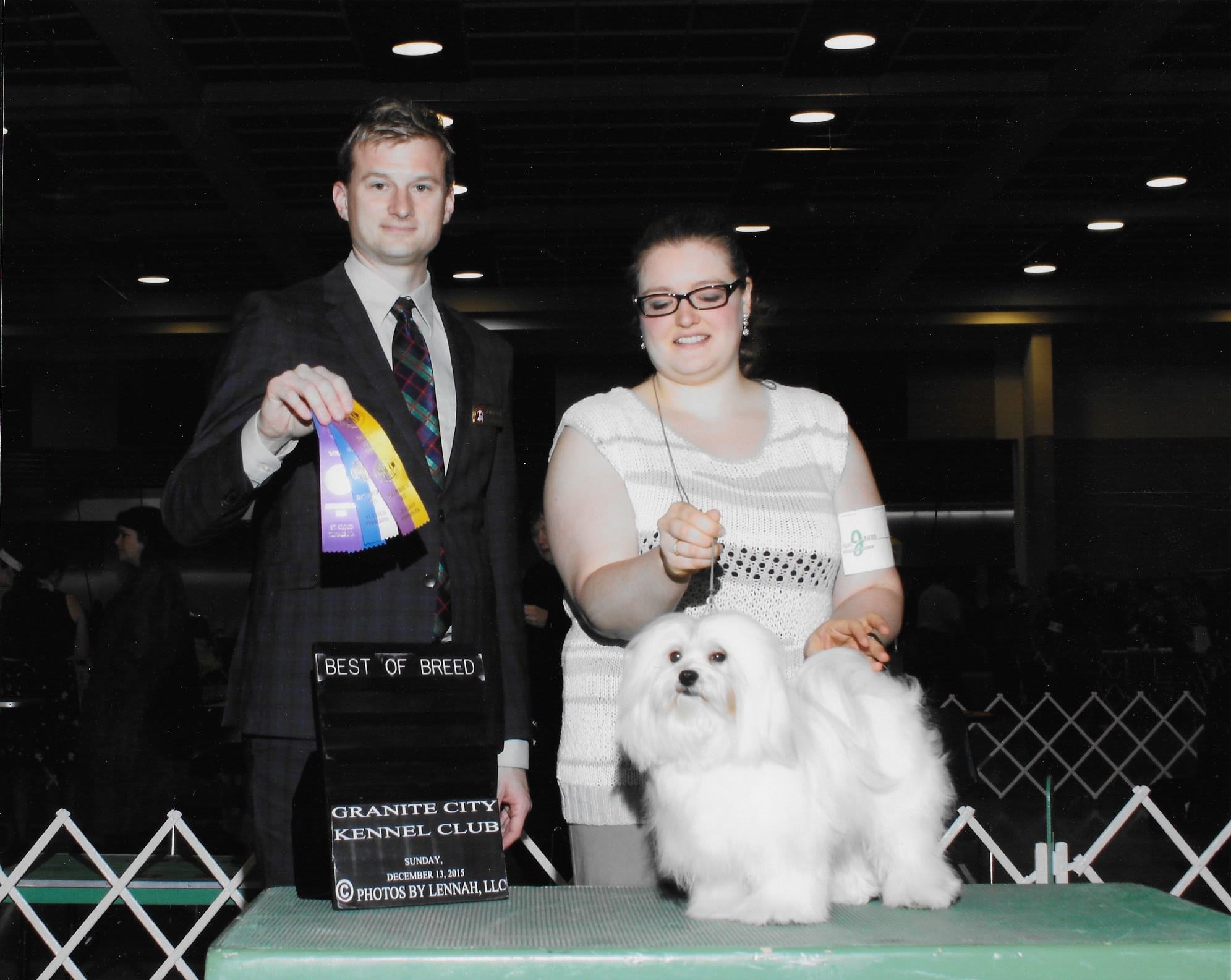 Happy Paws Havanese Puppies Minnesota MN Buddy Happy Paws Havanese Puppies Minnesota MN Buddy