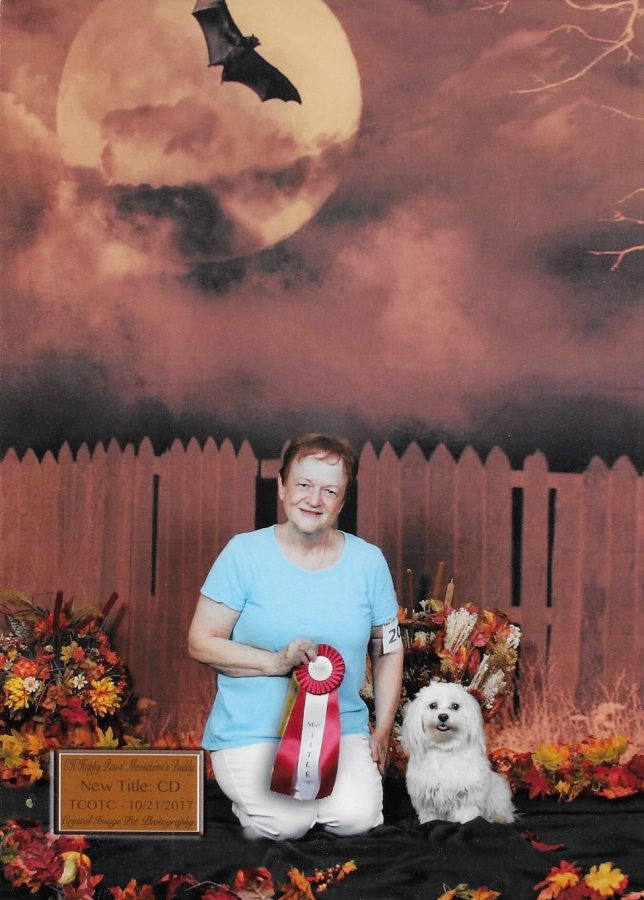 Happy Paws Havanese Buddy earning his Companion Dog title with his owner, Diana St. Deni Happy Paws Havanese Buddy earning his Companion Dog title with his owner, Diana St. Denis