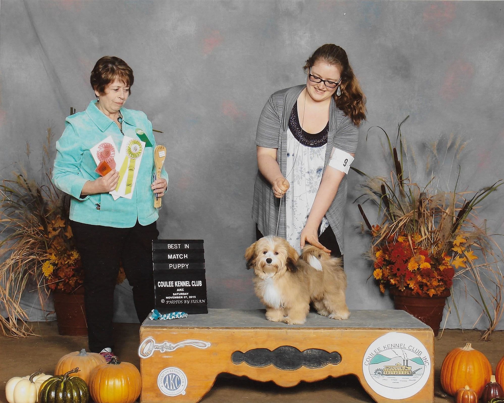 Happy Paws Havanese Della's first win