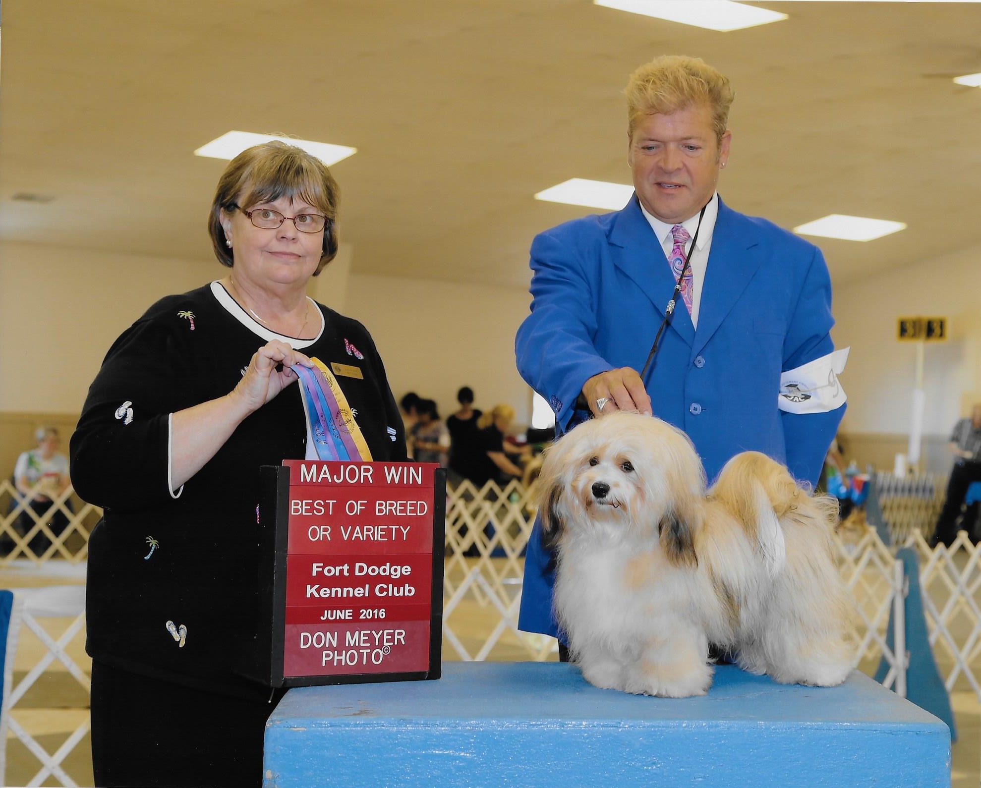 Happy Paws Havanese Puppies Minnesota MN Della