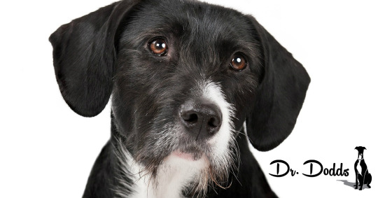 Dr. Dodd's Vaccination Protocol
