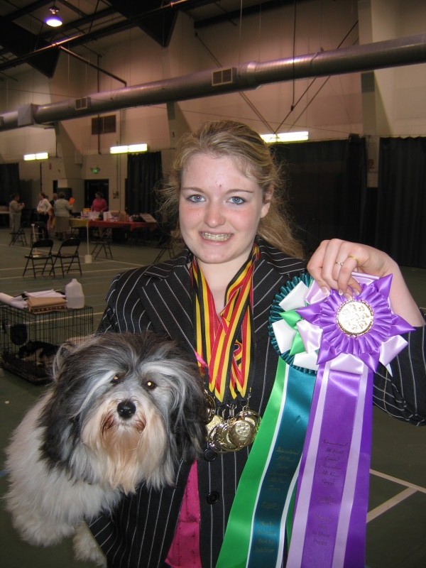 Happy Paws Havanese Puppies Minnesota MN Lightning Happy Paws Havanese Puppies Minnesota MN Lightning