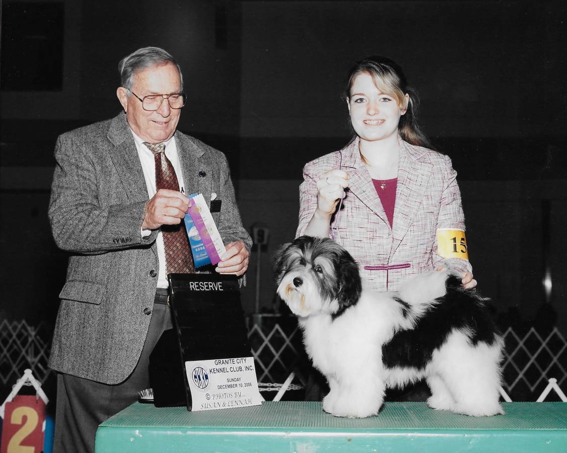 Happy Paws Havanese Puppies Minnesota MN Lightning