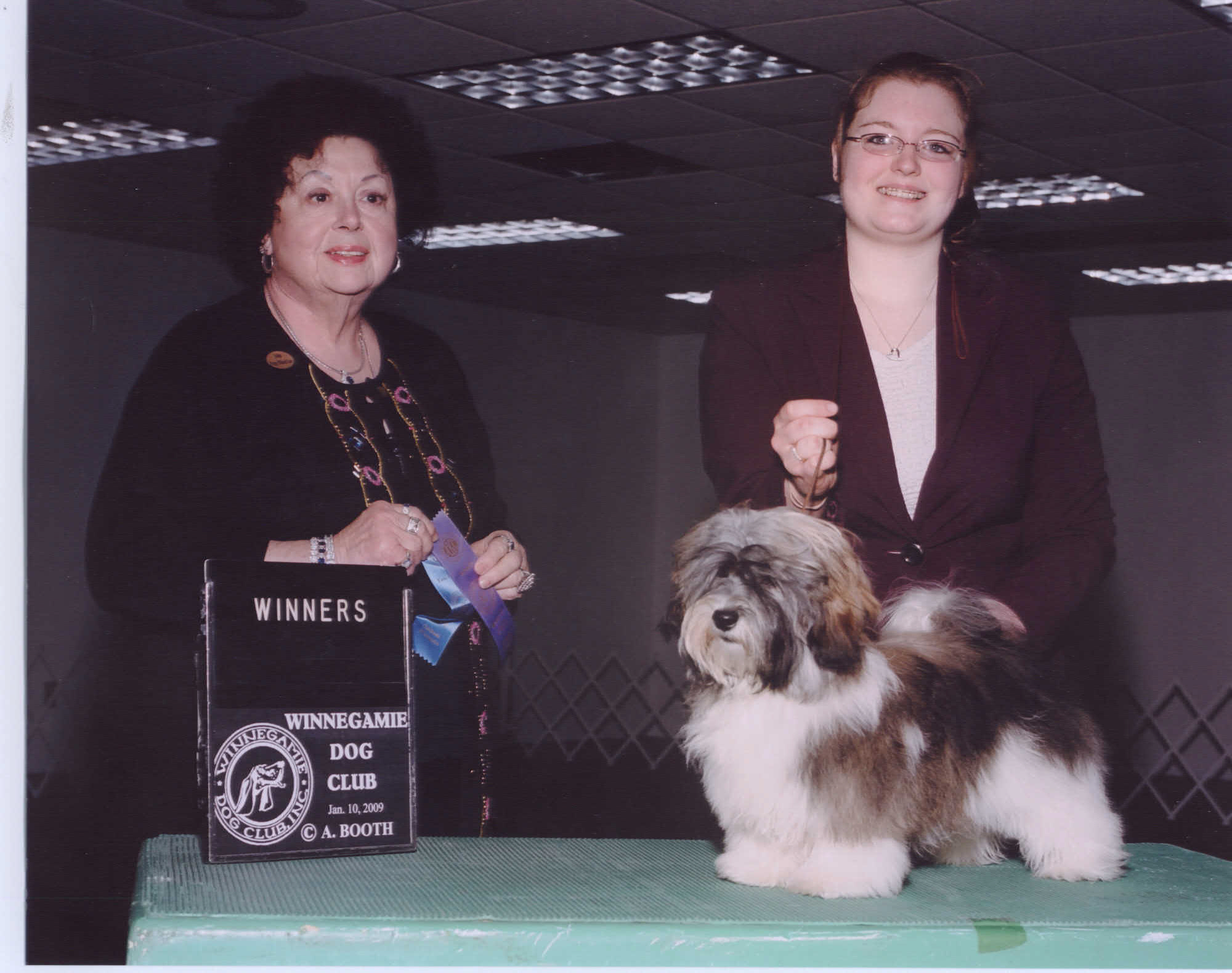 Happy Paws Havanese Puppies Minnesota MN