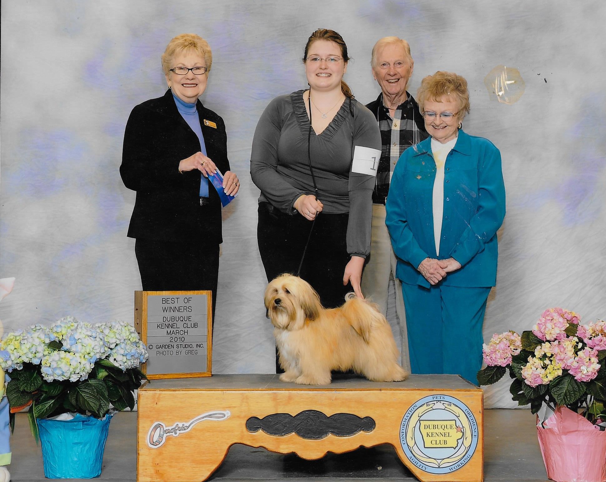 Happy Paws Havanese A special win because my grandparents got to watch!