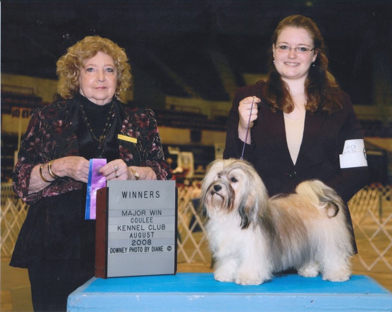 Happy Paws Havanese Puppies Minnesota MN Savannah Happy Paws Havanese Puppies Minnesota MN Savannah