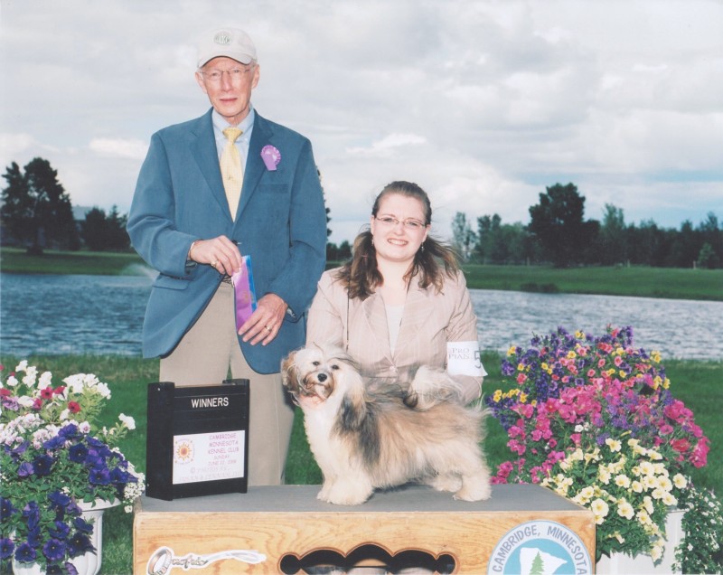 Happy Paws Havanese Puppies Minnesota MN Savannah Happy Paws Havanese Puppies Minnesota MN Savannah