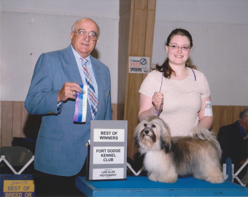 Happy Paws Havanese Puppies Minnesota MN Savannah Happy Paws Havanese Puppies Minnesota MN Savannah