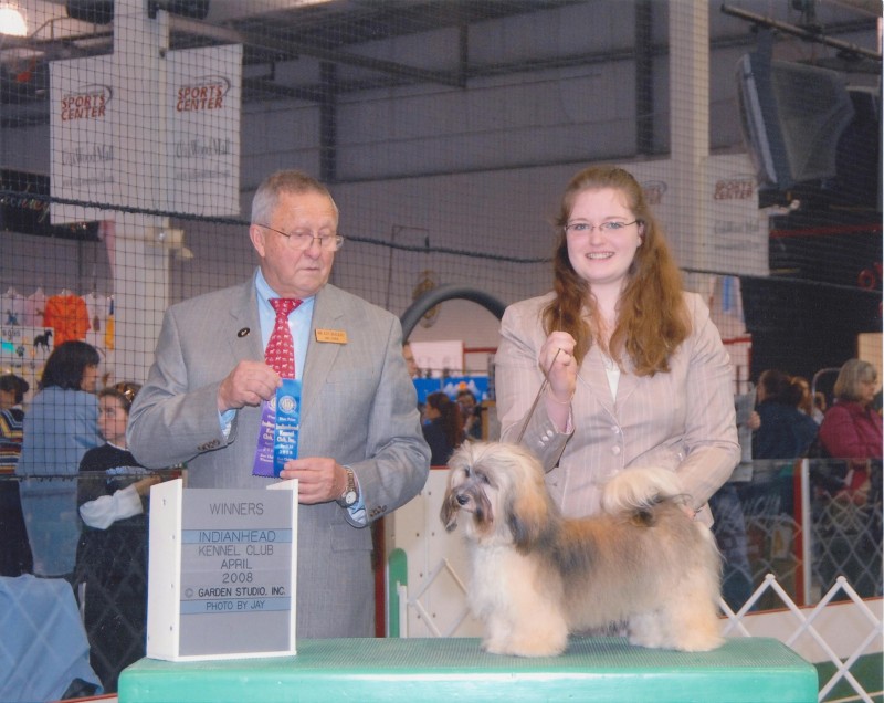 Happy Paws Havanese Puppies Minnesota MN Savannah Happy Paws Havanese Puppies Minnesota MN Savannah