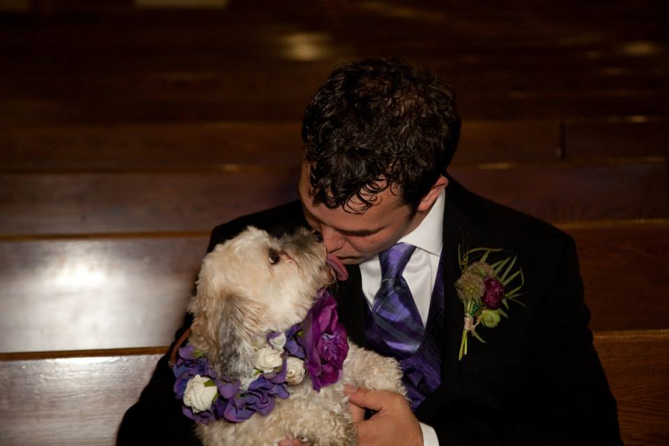 Happy Paws Havanese Savannah was a part of our wedding Happy Paws Havanese Savannah was a part of our wedding
