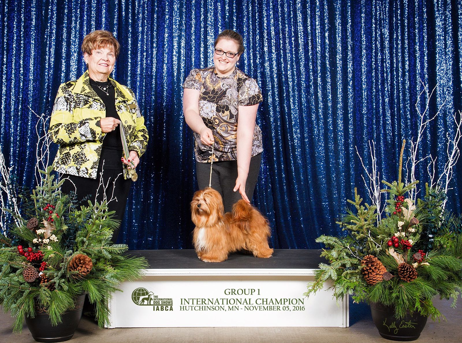 Happy Paws Havanese Puppies Minnesota MN Toodles Happy Paws Havanese Puppies Minnesota MN Toodles
